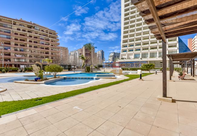 Apartamento en Calpe - Apolo XVI 1D, APARTAMENTO DE UN DORMITORIO FRENTE AL MAR AMPLIO Y  CON PRECIOSAS VISTAS Apartamento en Calpe - Apolo XVI 1D, APARTAMENTO DE UN DORMITORIO FRENTE AL MAR AMPLIO Y  CON PRECIOSAS VISTAS