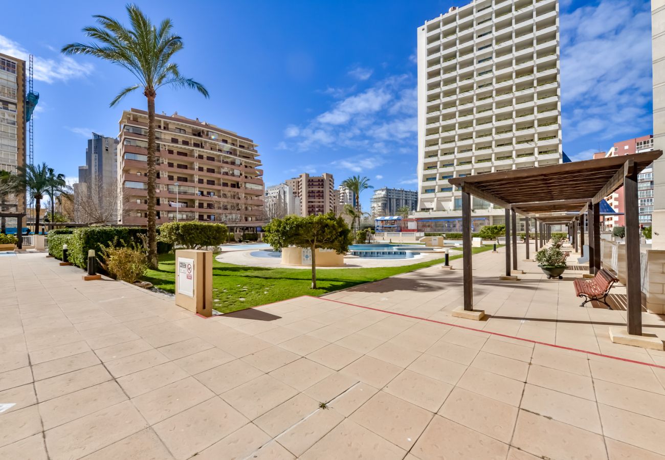 Apartamento en Calpe - Apolo XVI 1D, APARTAMENTO DE UN DORMITORIO FRENTE AL MAR AMPLIO Y  CON PRECIOSAS VISTAS