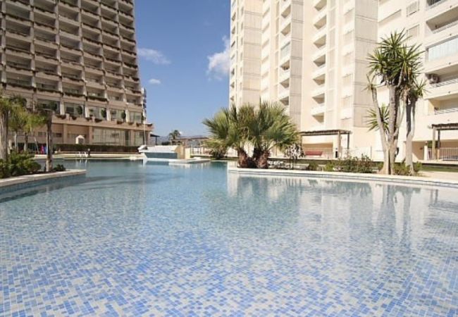 Apartamento en Calpe - APOLO 2D - Apartamento frente al mar con bonitas vistas y amplias terrazas