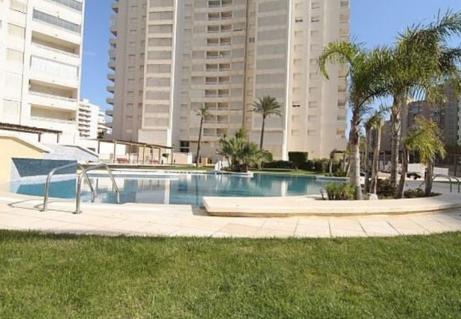 Apartamento en Calpe - APOLO 2D - Apartamento frente al mar con bonitas vistas y amplias terrazas Apartamento en Calpe - APOLO 2D - Apartamento frente al mar con bonitas vistas y amplias terrazas