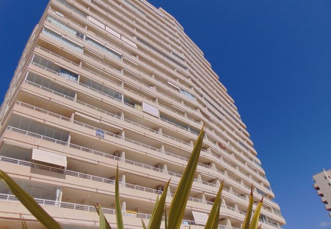 Apartamento en Calpe - APOLO 2D - Apartamento frente al mar con bonitas vistas y amplias terrazas Apartamento en Calpe - APOLO 2D - Apartamento frente al mar con bonitas vistas y amplias terrazas