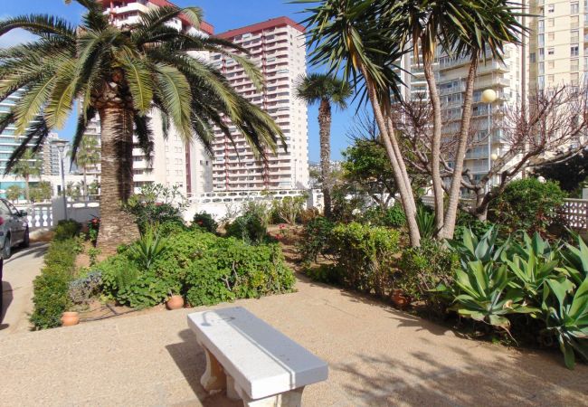 Apartamento en Calpe - PRESIDENT - Apartamento de dos dormtiorios con vistas al mar y frente a la playa con parking Apartamento en Calpe - PRESIDENT - Apartamento de dos dormtiorios con vistas al mar y frente a la playa con parking