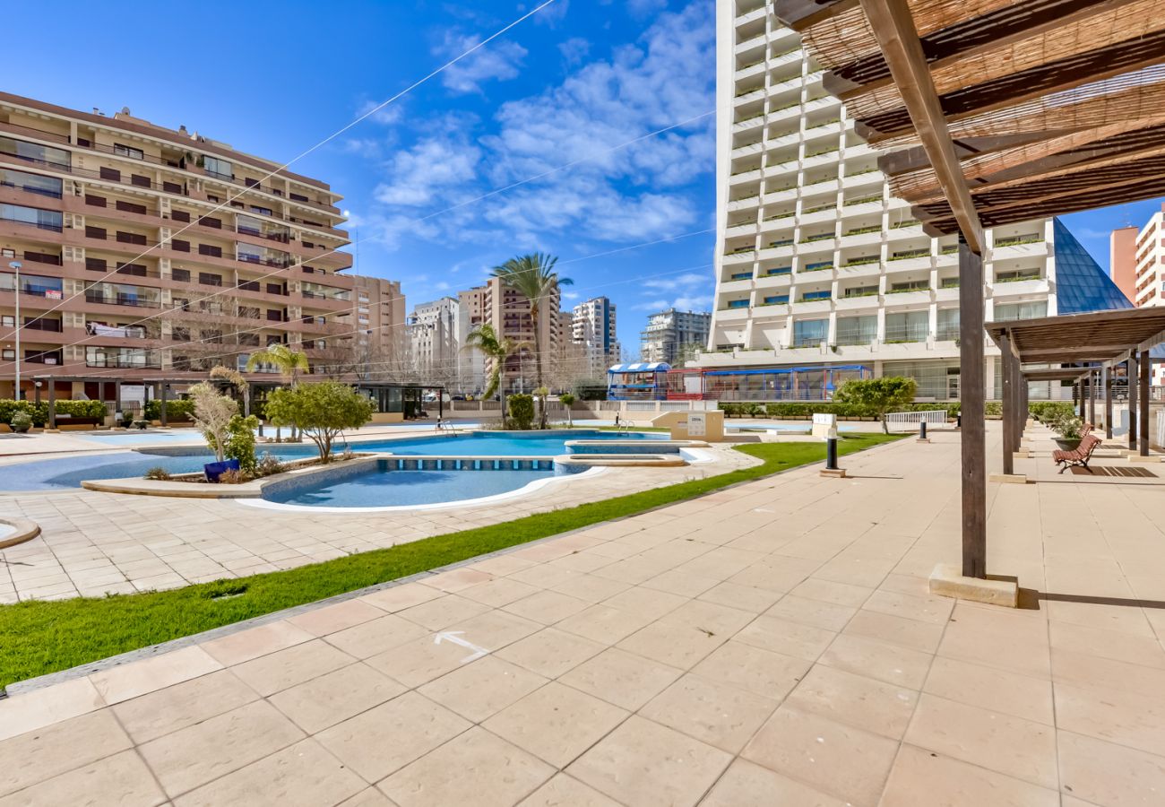 Apartment in Calpe / Calp - APOLO VXI ONE BEDROOM APARTMENT WITH SEAVIEWS 