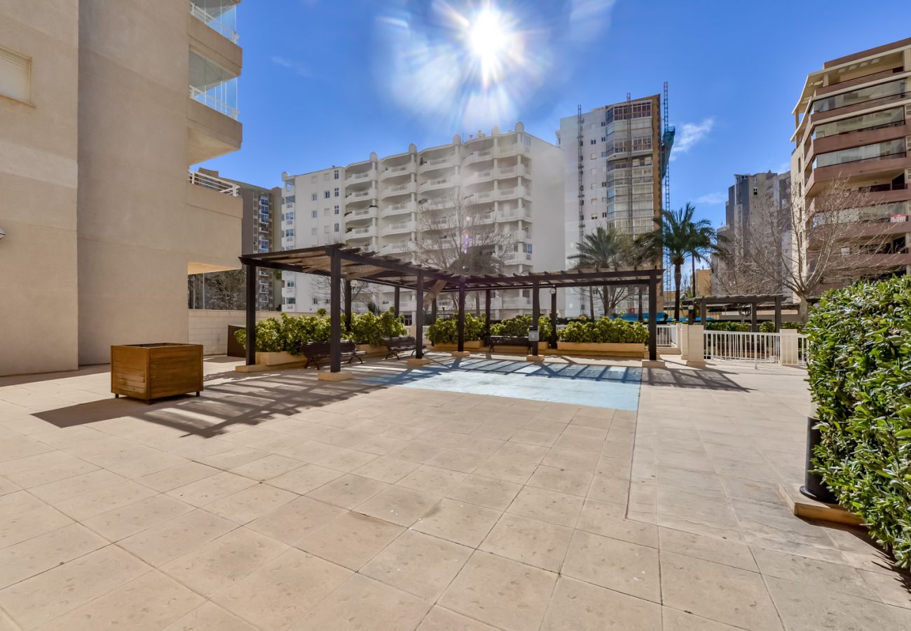 Apartment in Calpe / Calp - APOLO VXI ONE BEDROOM APARTMENT WITH SEAVIEWS 