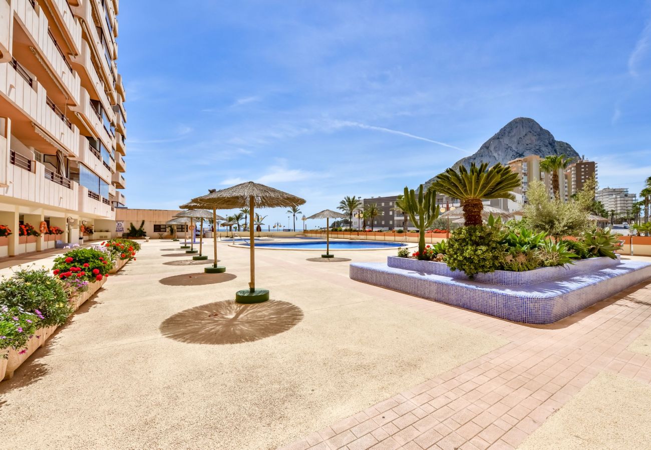 Apartment in Calpe / Calp - Zafiro 18B - Front line apartment with sea views and direct access to the beach