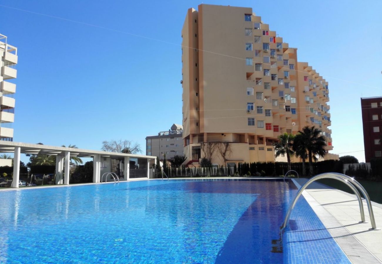 Studio in Calpe / Calp - HORIZONTE 401 - First line studio with stunning sea views