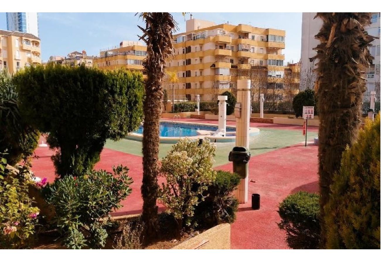 Appartement à Calpe / Calp - APOLO 7. Appartement très bien situé et très proche de la plage