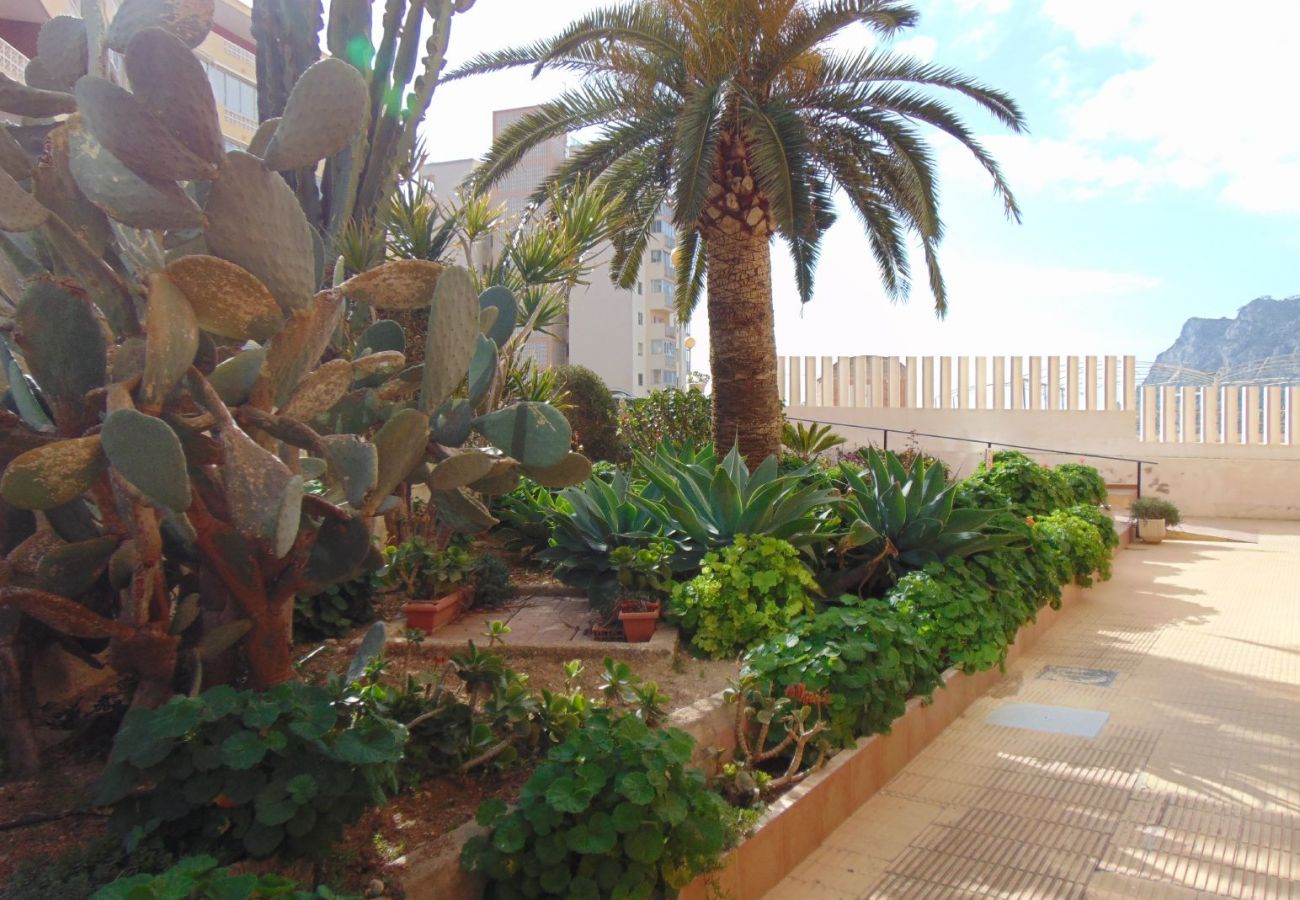 Appartement à Calpe / Calp - PRESIDENT - Appartement de deux chambres avec vue sur la mer et en bord de mer avec parking