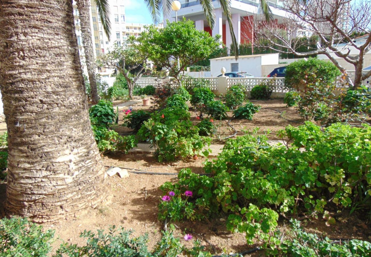 Appartement à Calpe / Calp - PRESIDENT - Appartement de deux chambres avec vue sur la mer et en bord de mer avec parking